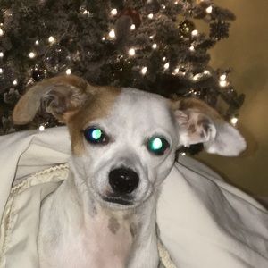 Meet your Posher, Kendall